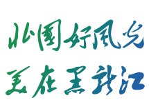 【详细】